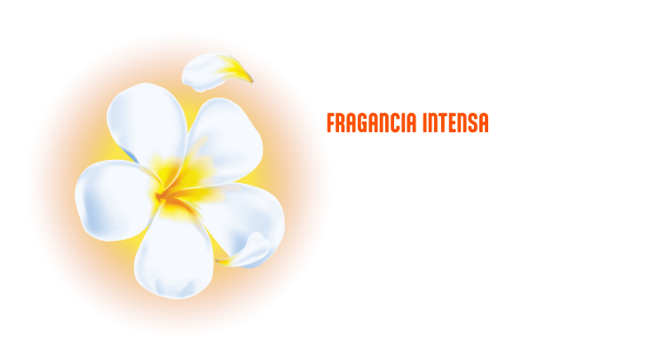 Ciclón Detergente - Makeover